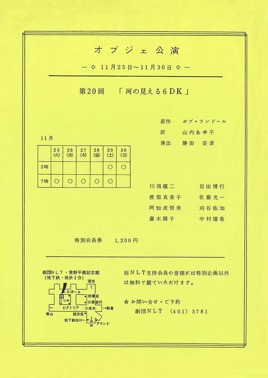 河の見える6DK チラシ